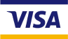 Visa Logo payment icon